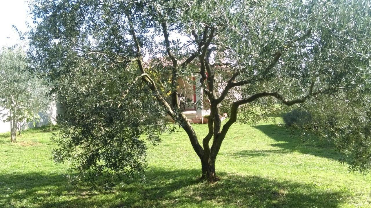 Apartment Karin Medulin Zewnętrze zdjęcie